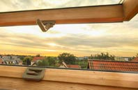 rated Worsbrough Common roof window companies